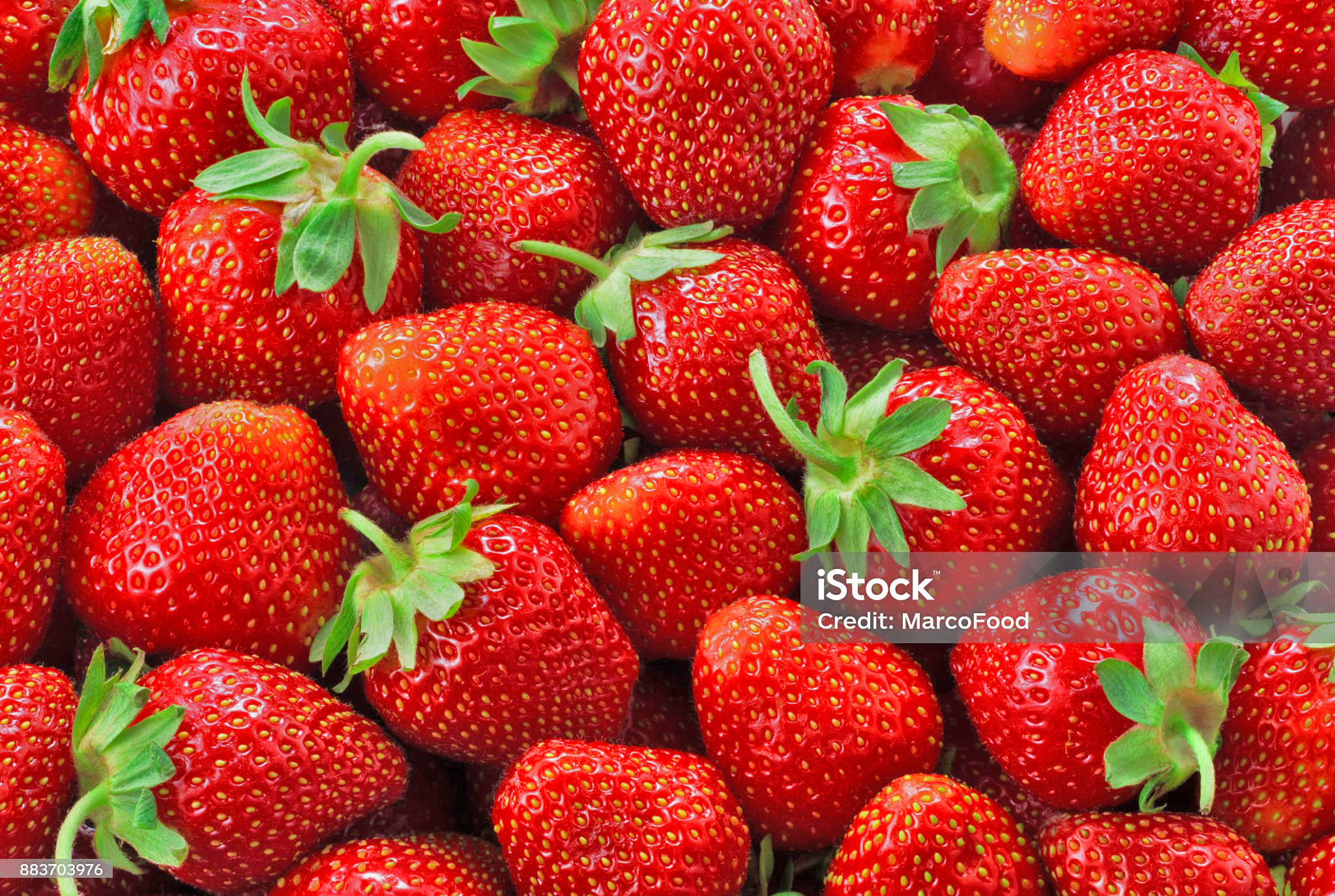 Lorem ipsum dolor sit amet, consectetur adipiscing elit