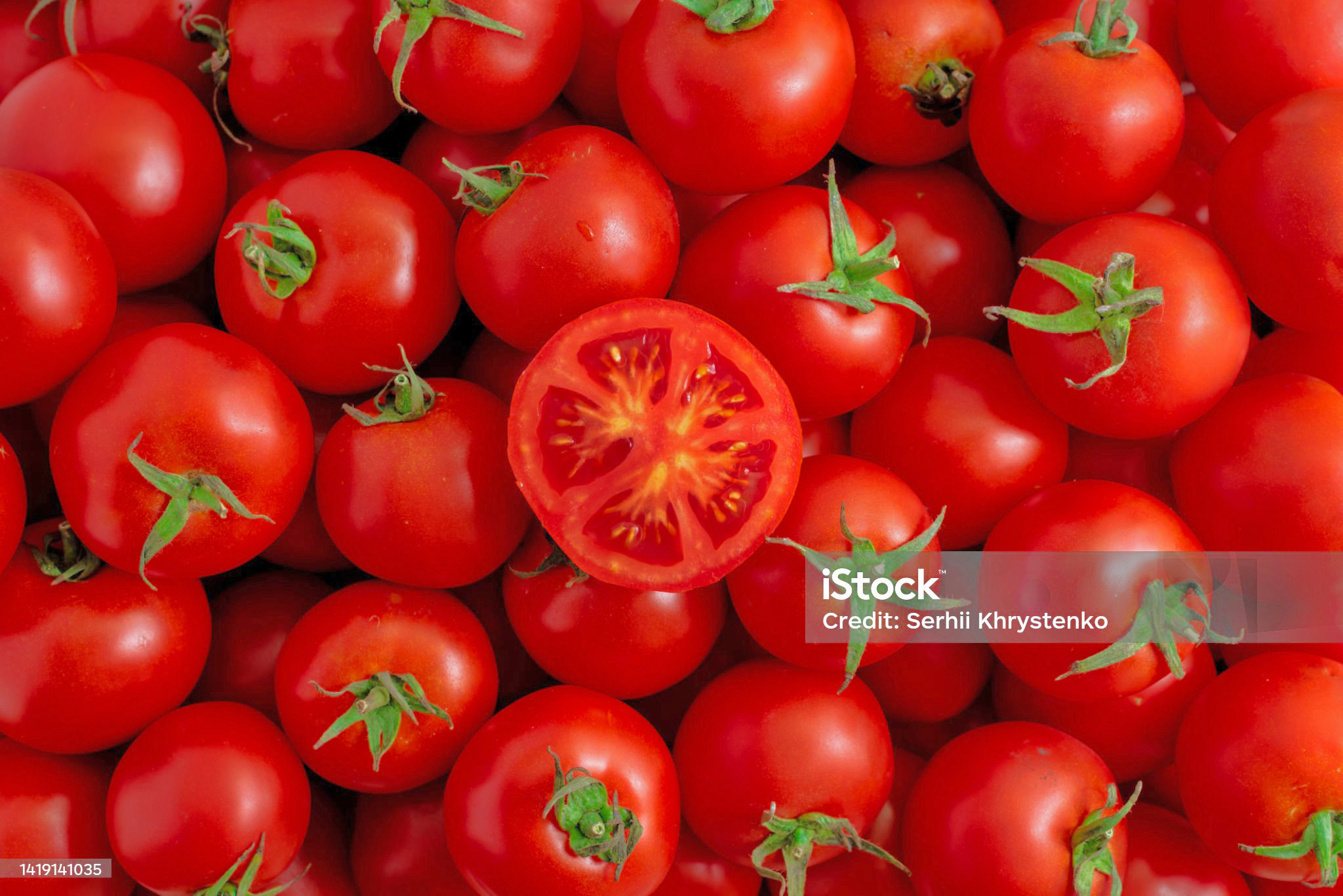 Quisque maximus, purus sit amet mollis feugiat